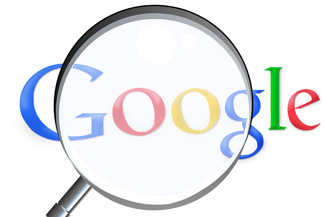 Search Engine Optimization Google